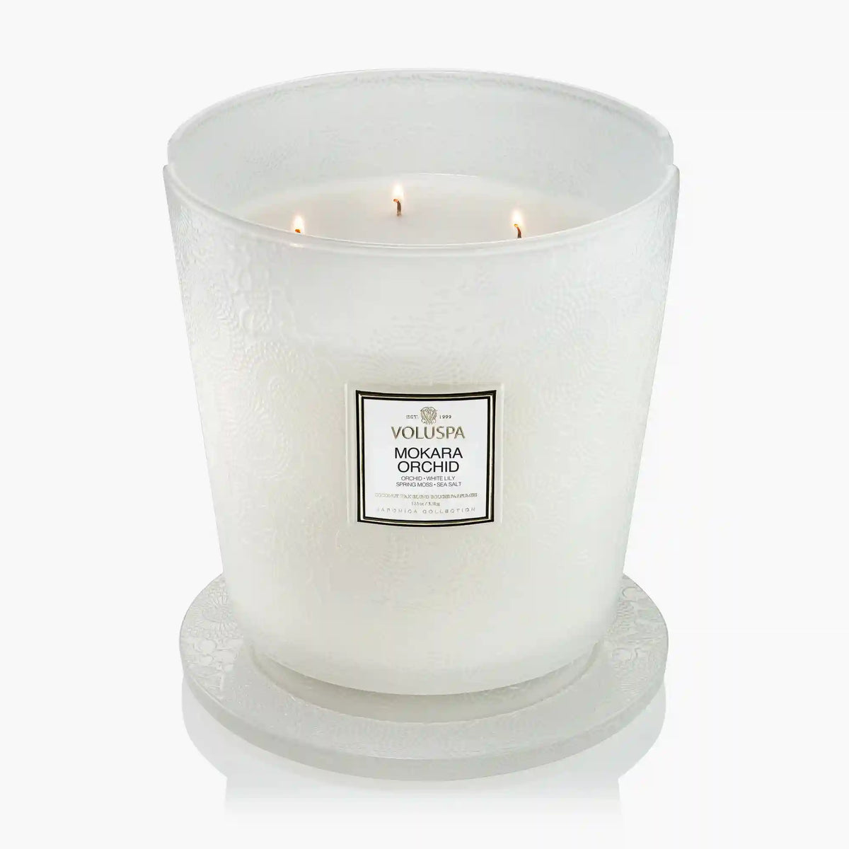 Mokara Orchid - 5 Wick Hearth Candle